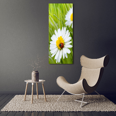 Glass wall art Daisy