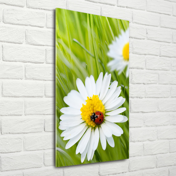 Glass wall art Daisy