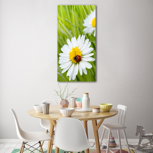 Glass wall art Daisy