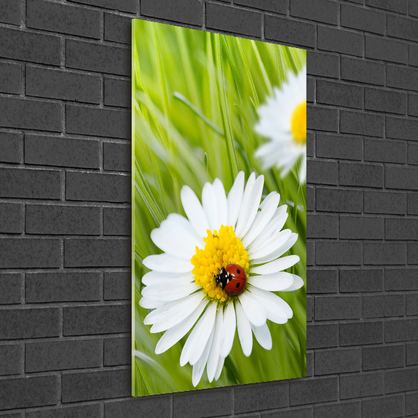 Glass wall art Daisy