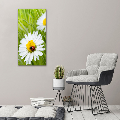 Glass wall art Daisy