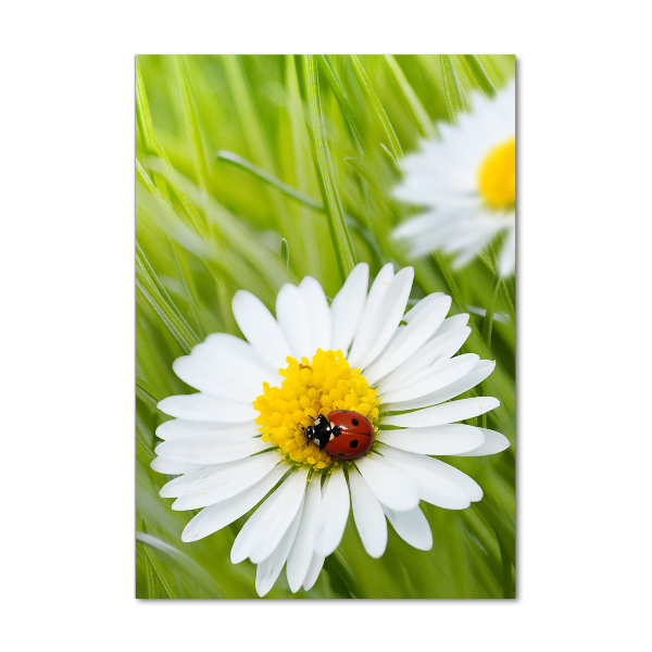 Glass wall art Daisy