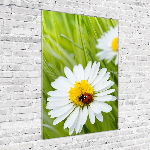 Glass wall art Daisy