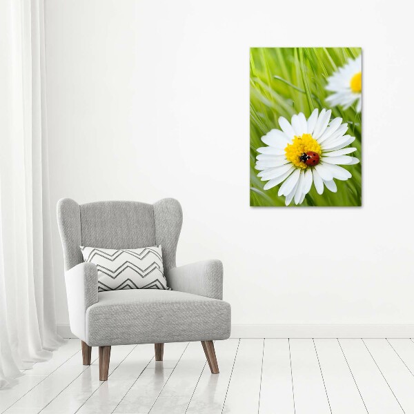 Glass wall art Daisy