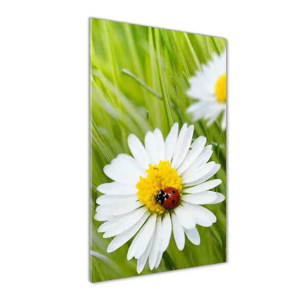 Glass wall art Daisy