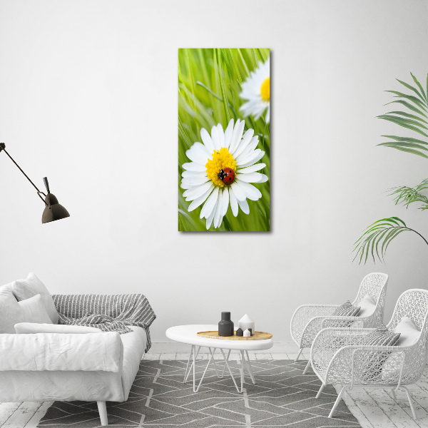 Glass wall art Daisy