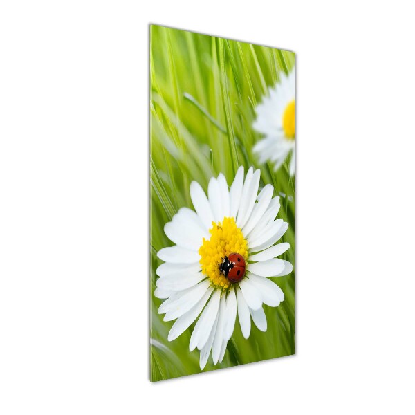 Glass wall art Daisy