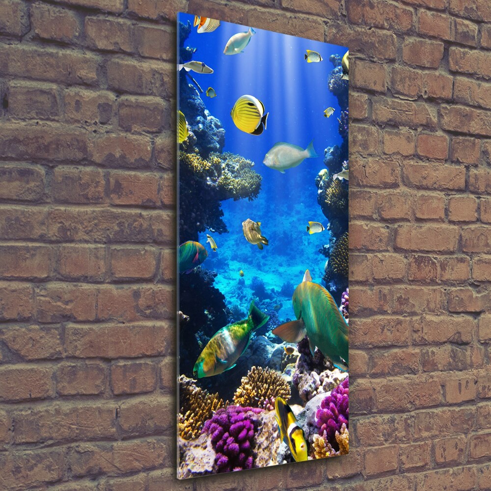 Glass wall art Coral reef