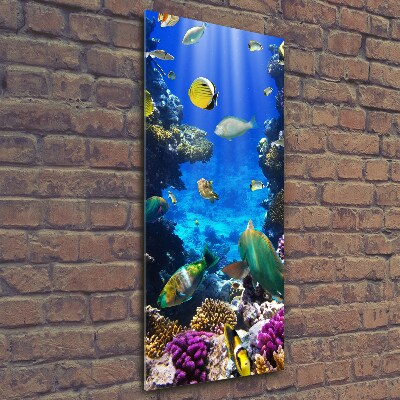 Glass wall art Coral reef