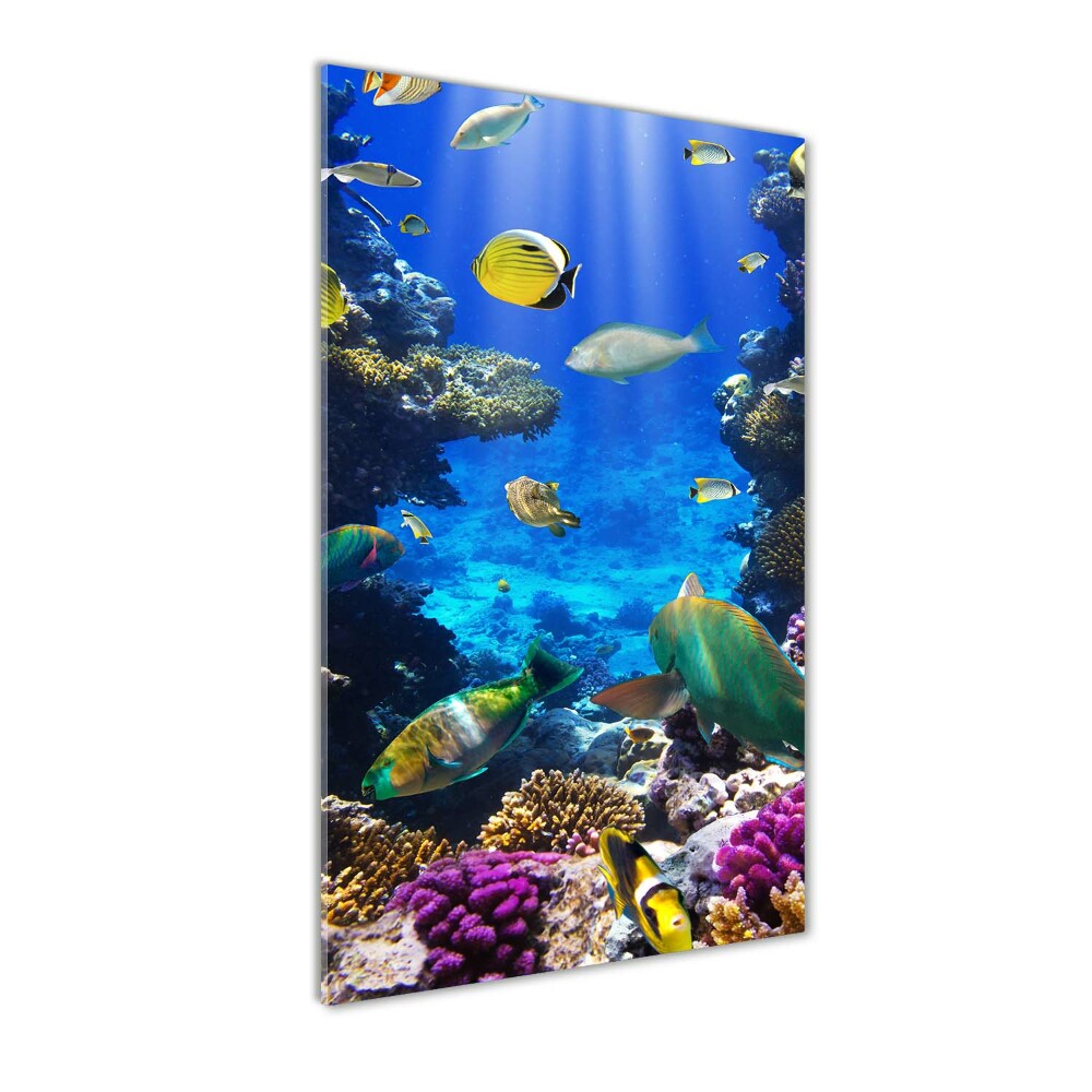 Glass wall art Coral reef