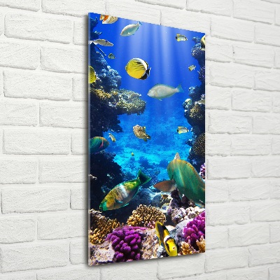 Glass wall art Coral reef