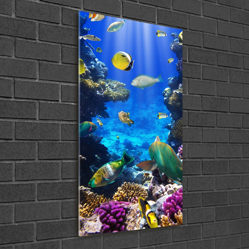 Glass wall art Coral reef