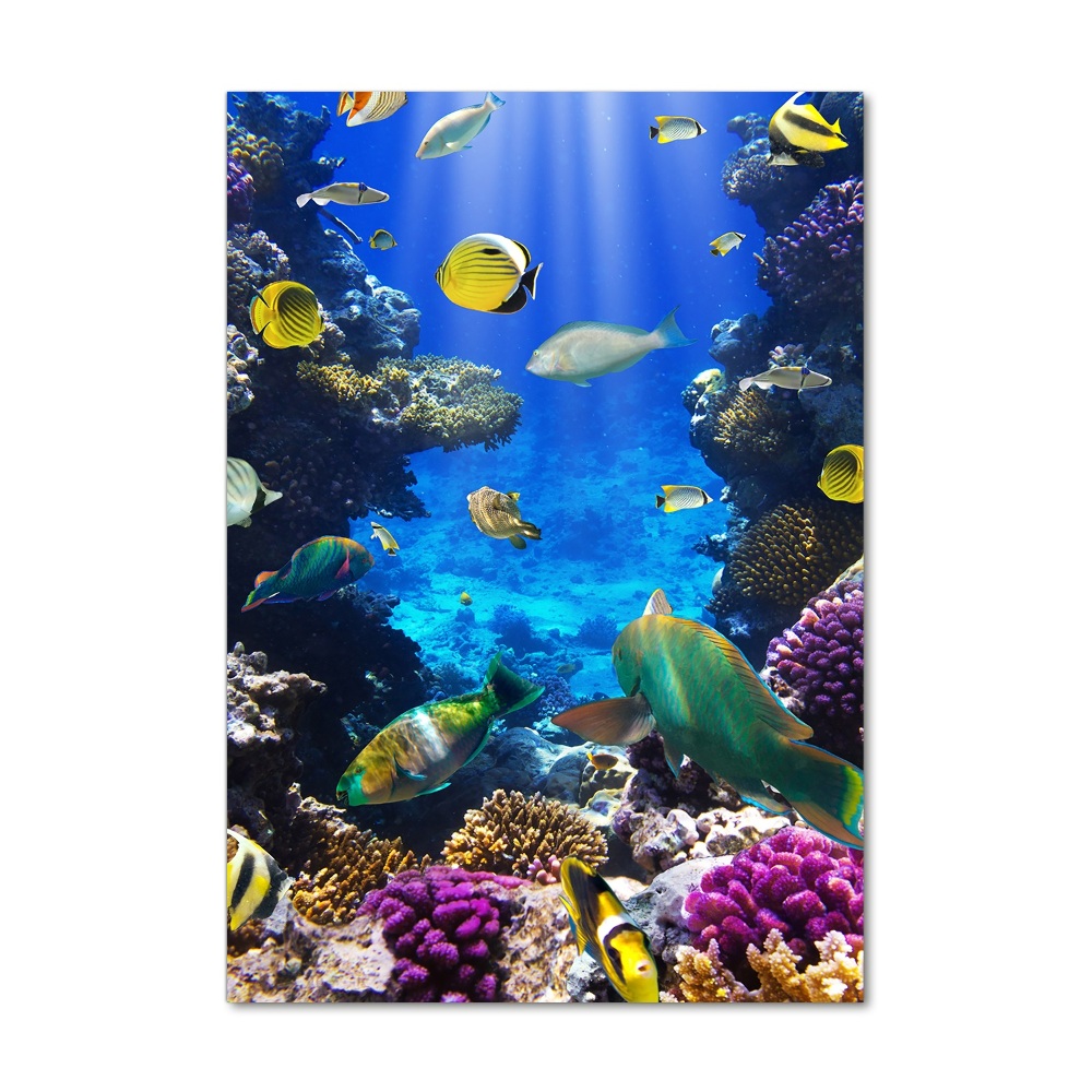 Glass wall art Coral reef