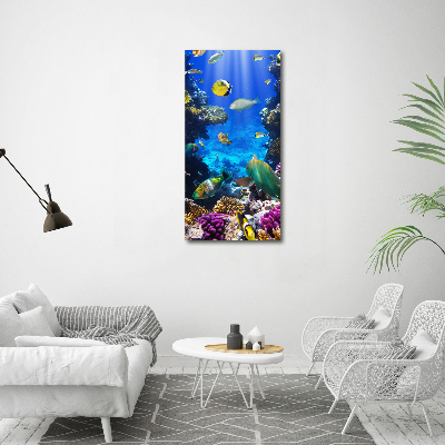 Glass wall art Coral reef