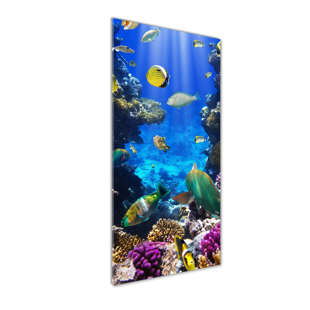 Glass wall art Coral reef