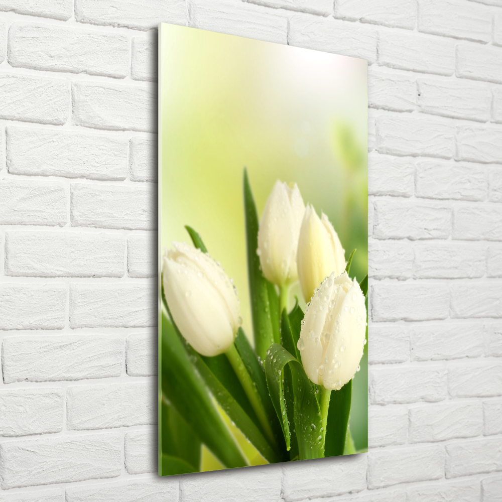 Glass wall art White tulips