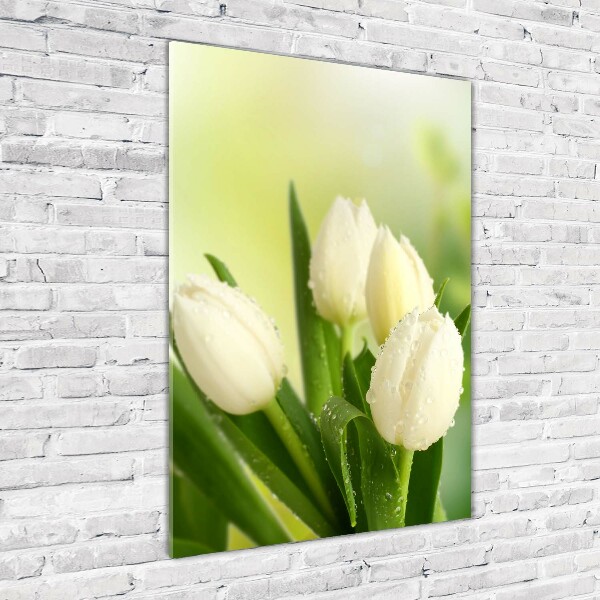 Glass wall art White tulips