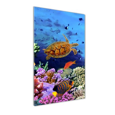 Glass wall art Coral reef