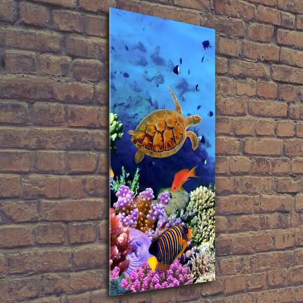 Glass wall art Coral reef