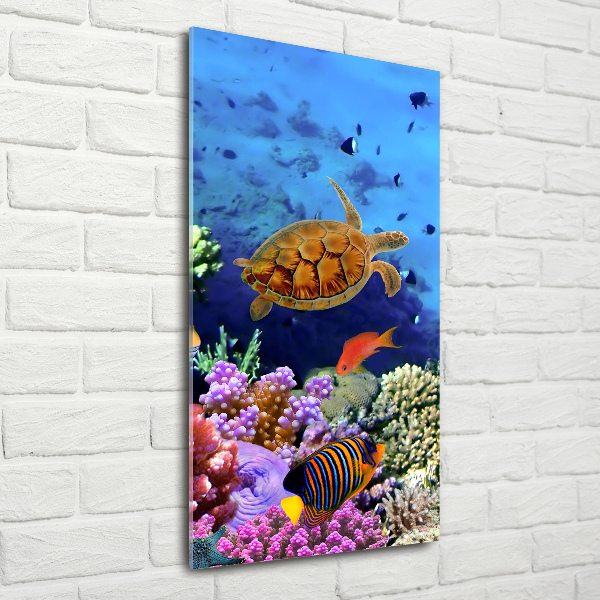 Glass wall art Coral reef