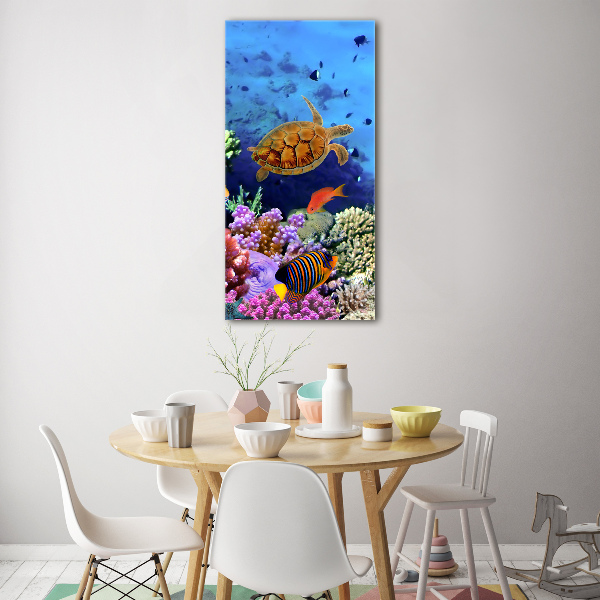 Glass wall art Coral reef