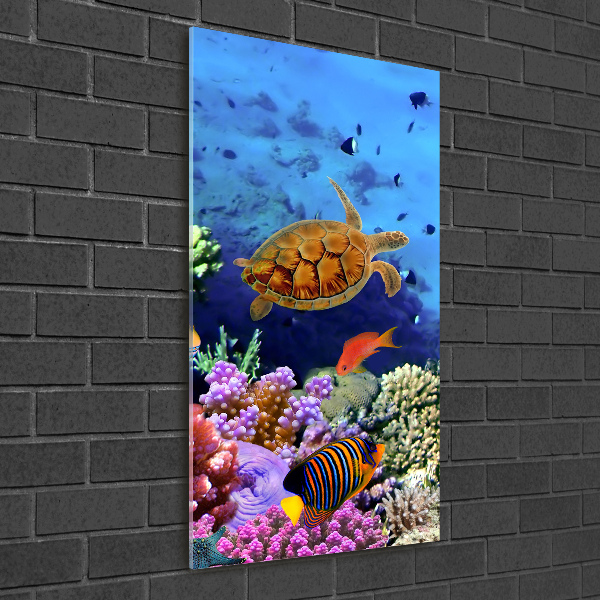 Glass wall art Coral reef