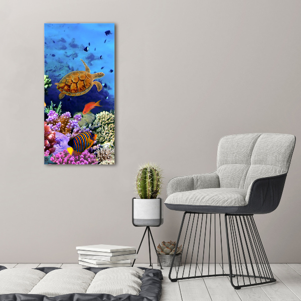 Glass wall art Coral reef