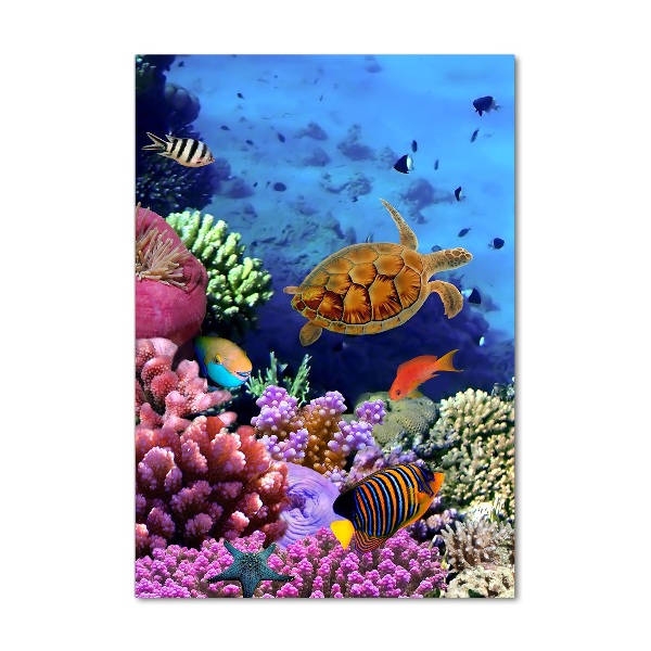 Glass wall art Coral reef