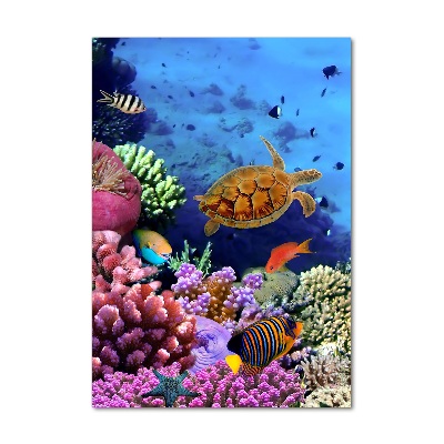 Glass wall art Coral reef