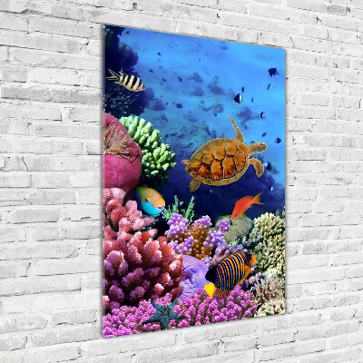 Glass wall art Coral reef