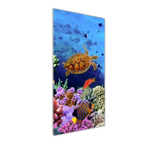 Glass wall art Coral reef