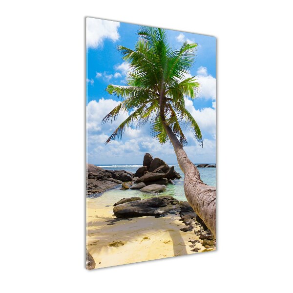 Photo printed on glass Tropical beach