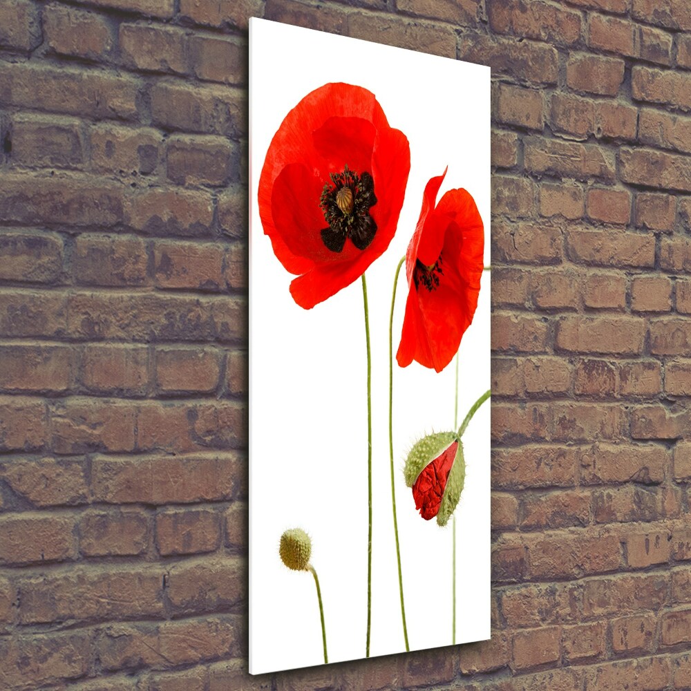 Print on a a glass Field poppies