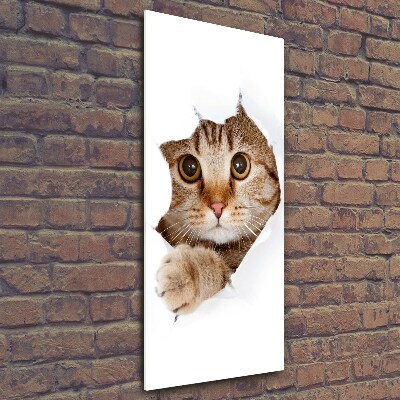 Glass wall art Cat