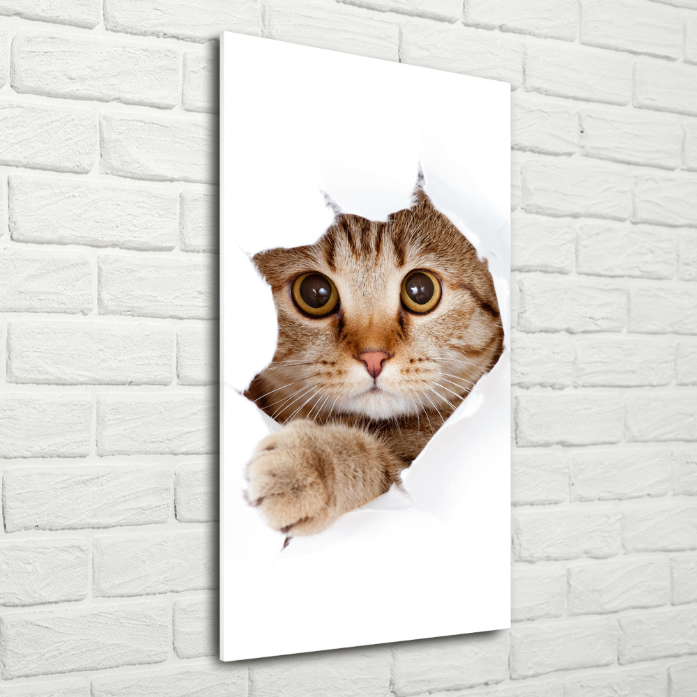 Glass wall art Cat