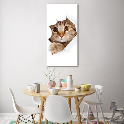 Glass wall art Cat