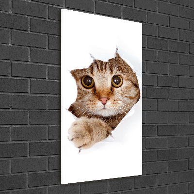 Glass wall art Cat