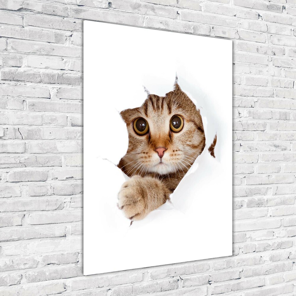 Glass wall art Cat