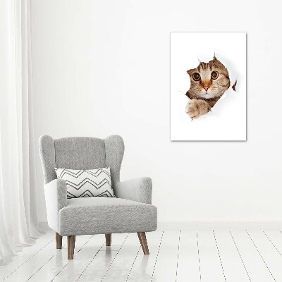 Glass wall art Cat