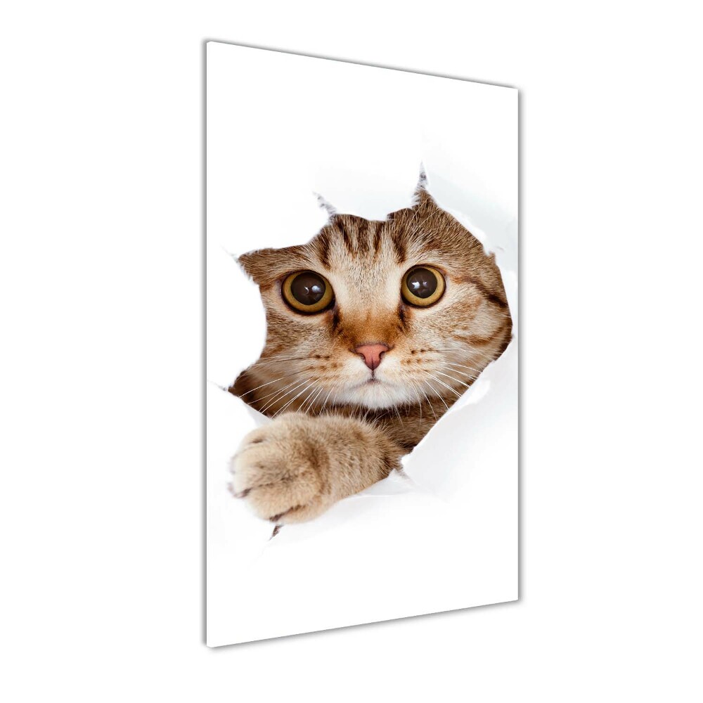 Glass wall art Cat