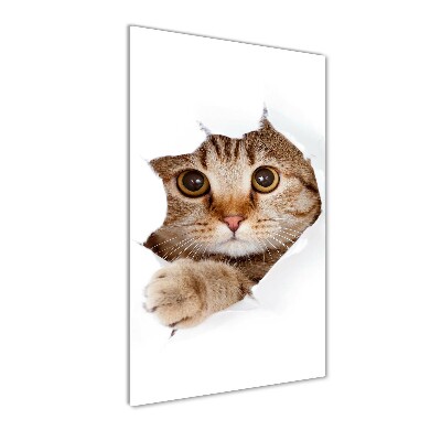 Glass wall art Cat