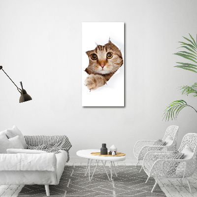 Glass wall art Cat