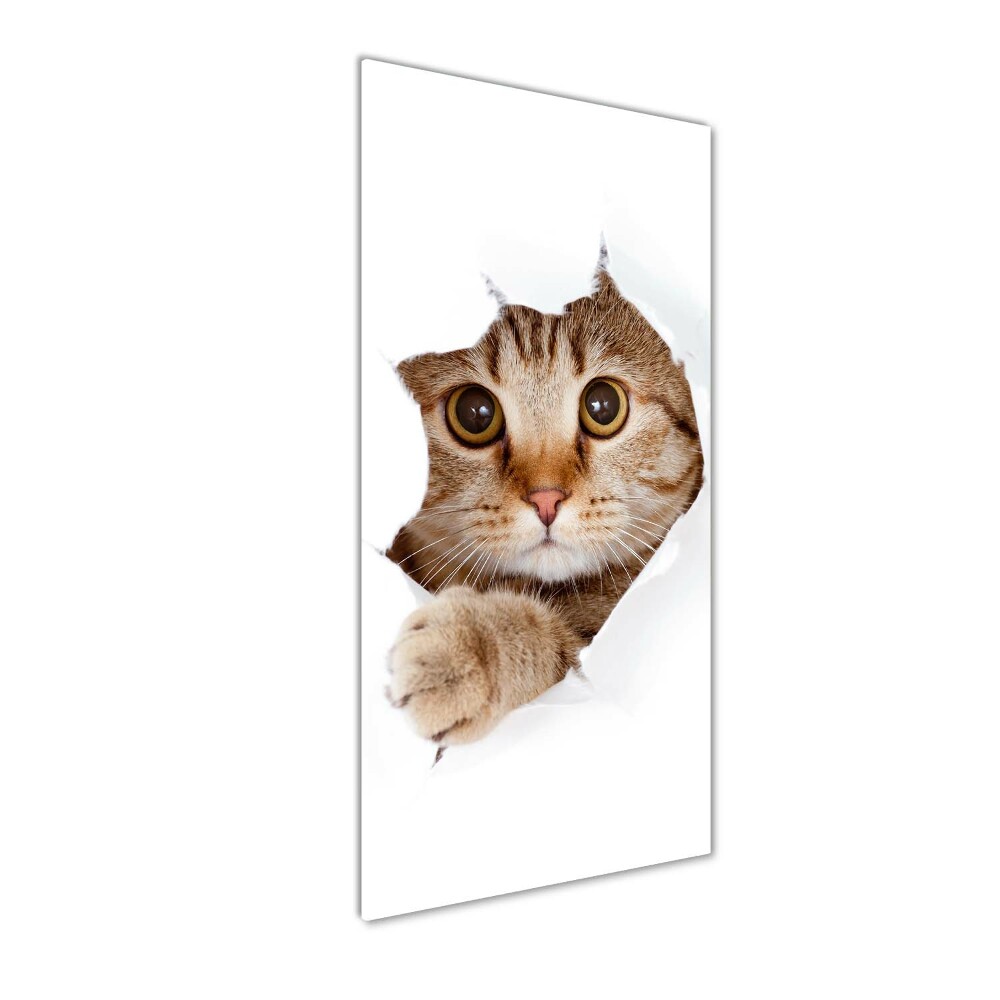 Glass wall art Cat