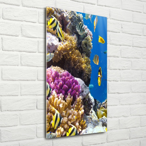 Print on a a glass Coral reef