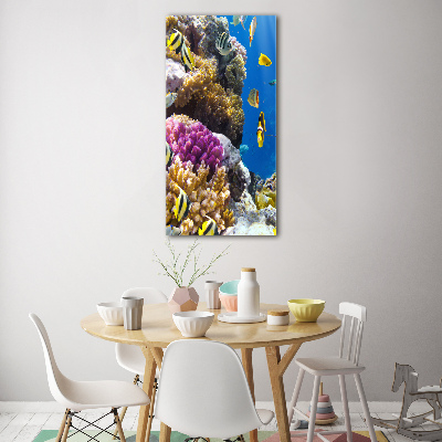 Print on a a glass Coral reef