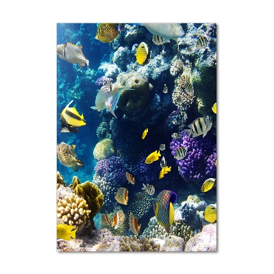 Print on a a glass Coral reef