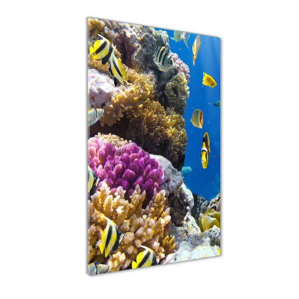 Print on a a glass Coral reef