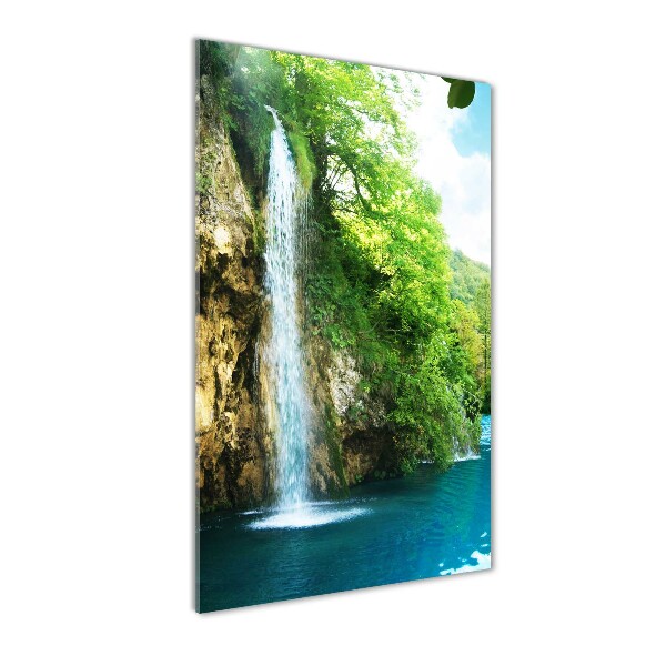 Photo printed on glass Waterfall in the forest