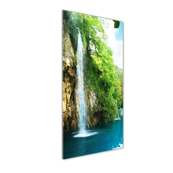 Photo printed on glass Waterfall in the forest