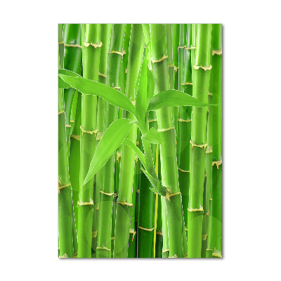 Glass wall art Bamboo forest